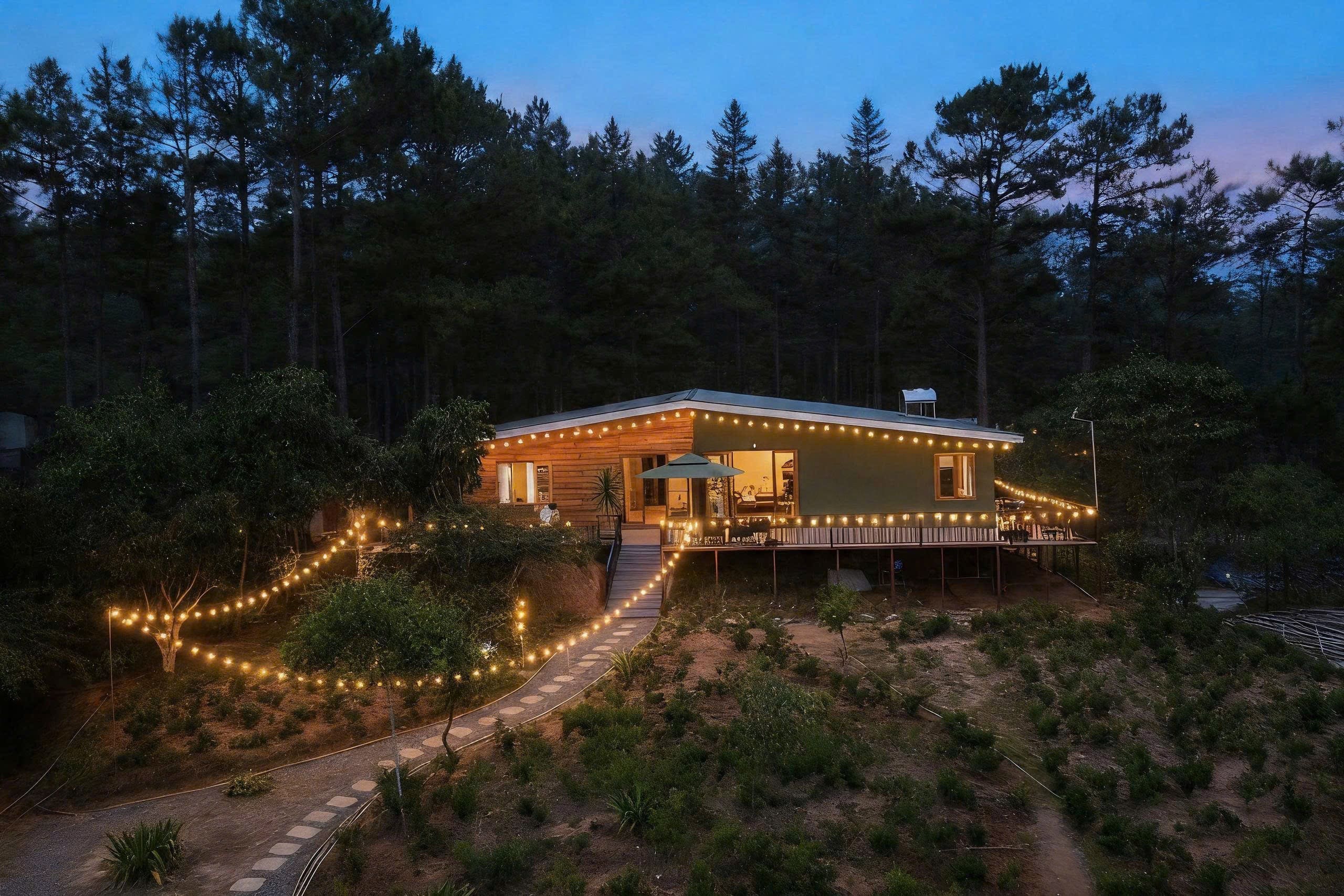 🌿 HOME NGUYÊN CĂN GIỮA RỪNG – CÁCH TRUNG TÂM 7km 🌿 - thuê homestay đà lạt