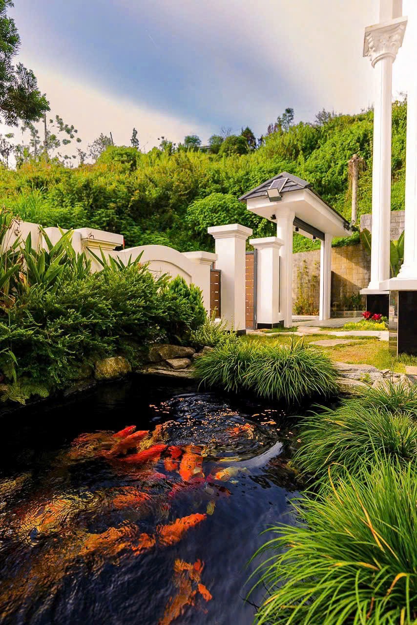 🏡 Căn Villa Đà Lạt với view đồi cực chill - thuê villa đà lạt ảnh 3