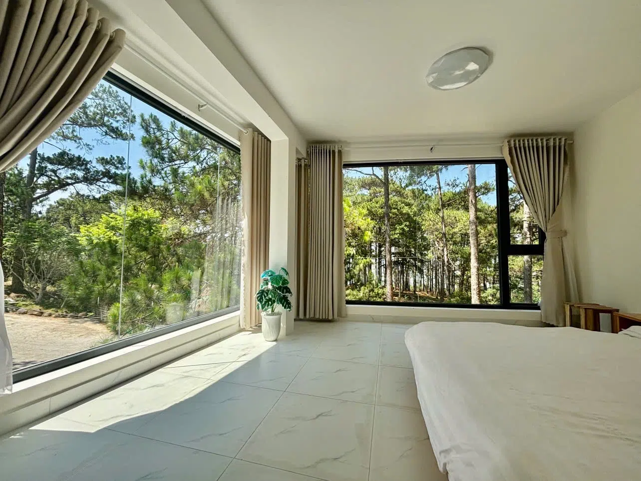 Villa view rừng thông - thuê villa đà lạt ảnh 3